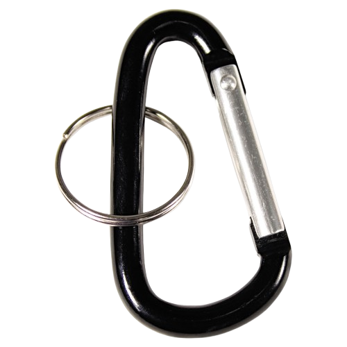 Carabiner Keys
