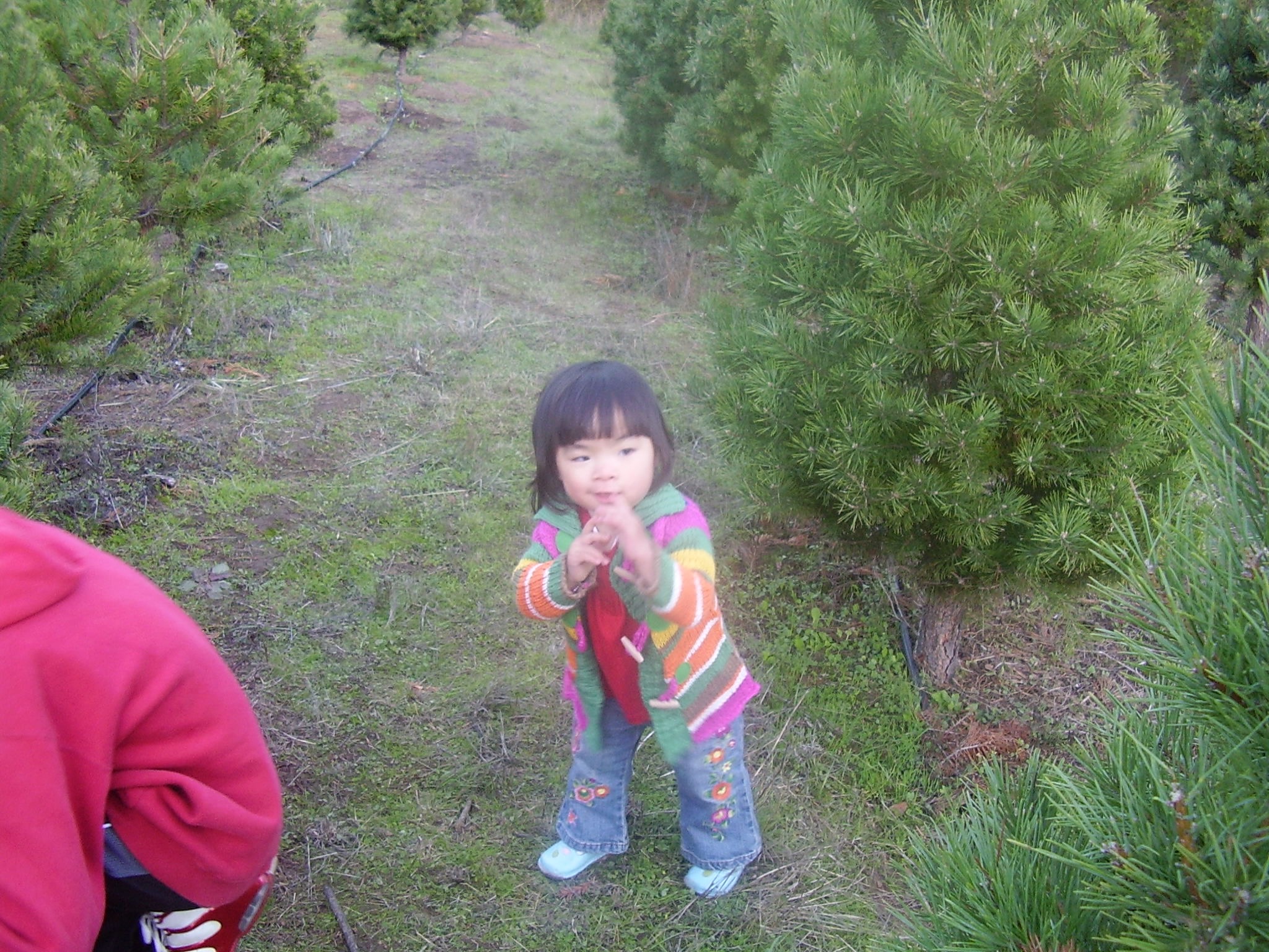 Back then photo 3