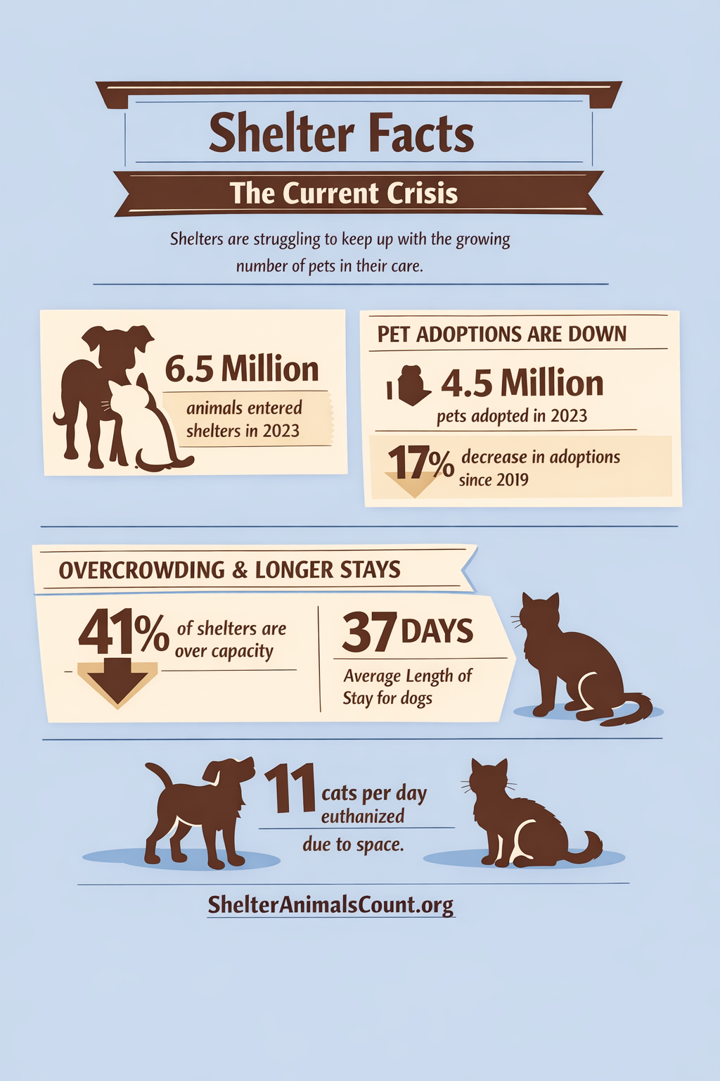 Shelter facts infographic
